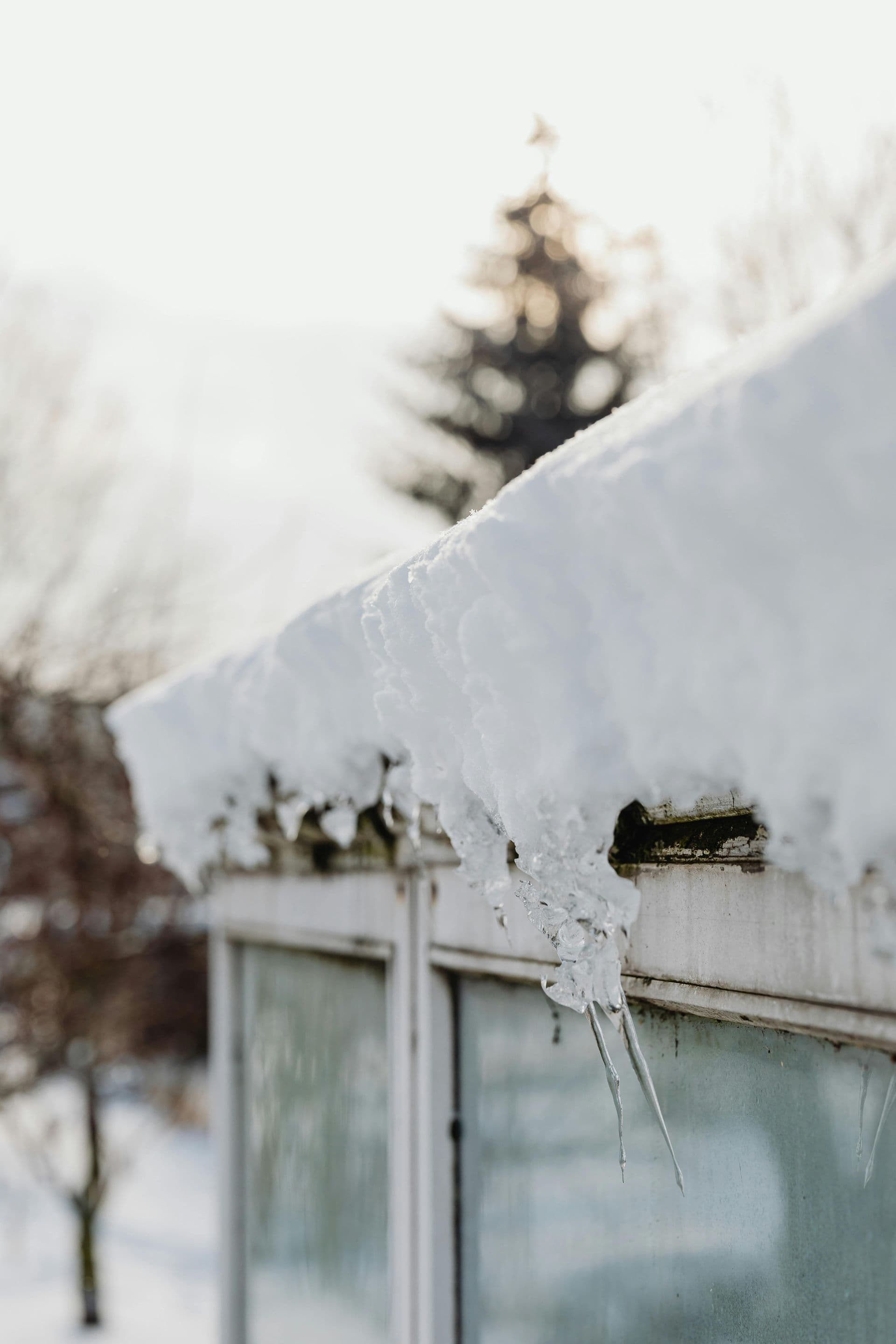 Storm and weather damage on a Minnesota roof