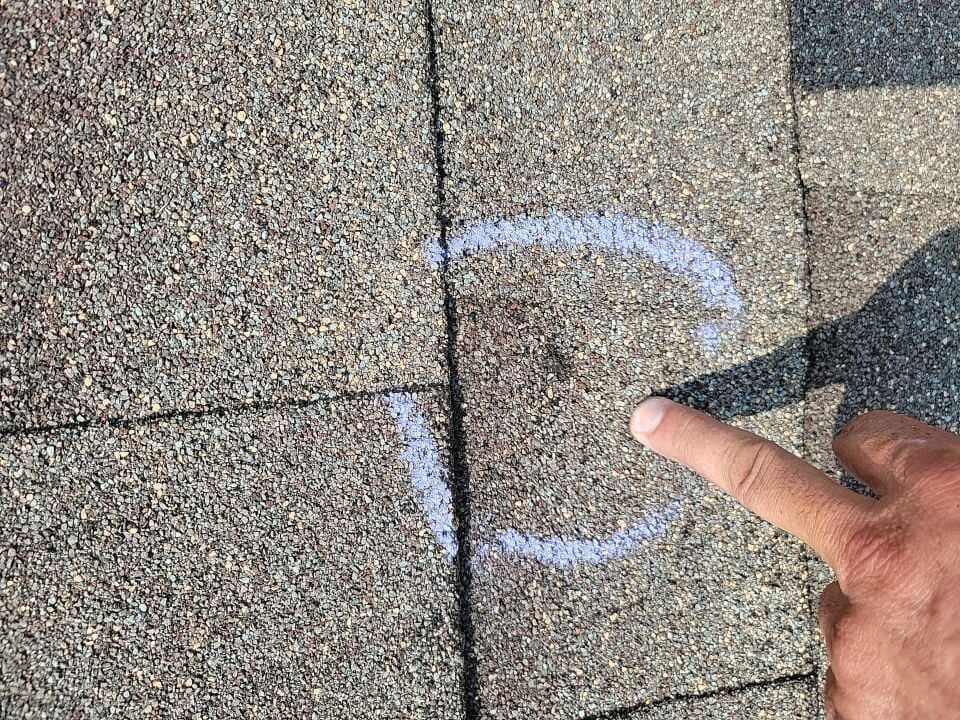 Close-up of hail damage on an asphalt shingle, documented during a Modex roof inspection